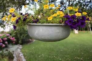 Sehr gepflegter Gästegarten beim Appartement Garten mit viel Blumen